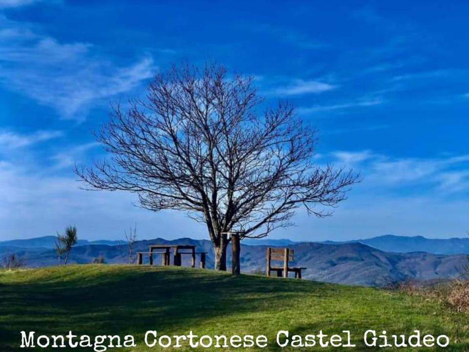 Tenuta La Scure La Cappella Villa Cortona Exterior photo